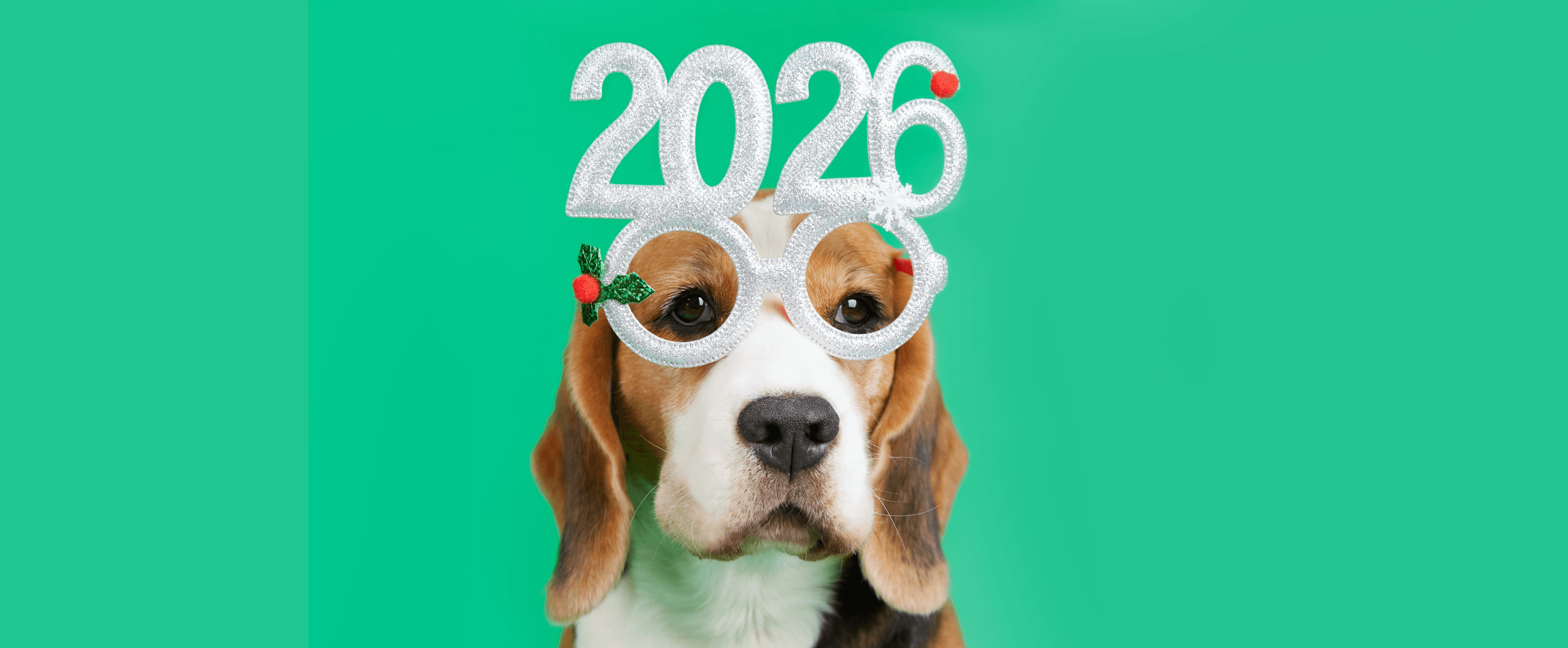 Blog Article Featured Image