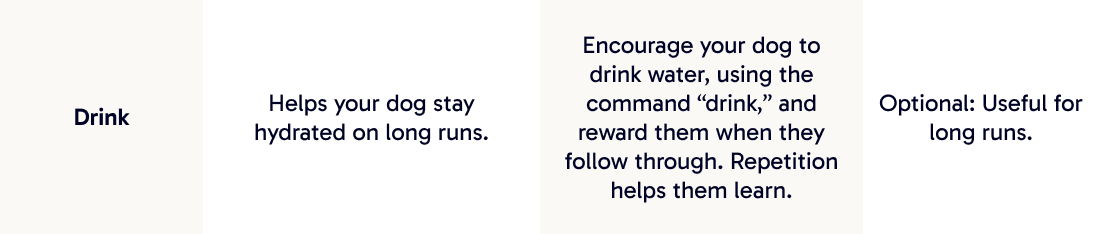 Drink | Helps your dog stay hydrated on long runs.