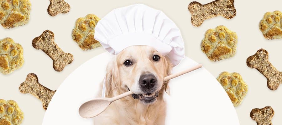 Blog Article Featured Image