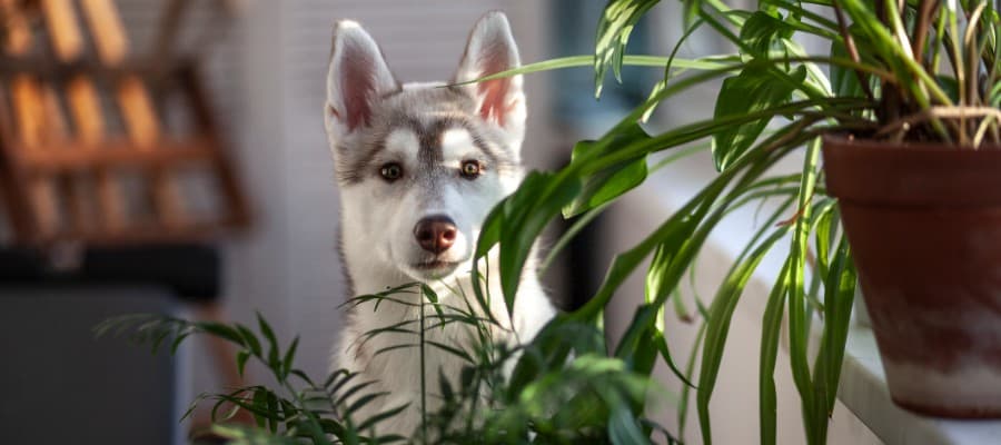 Blog Article Featured Image