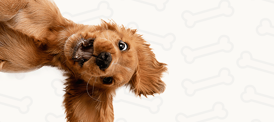 Blog Article Featured Image