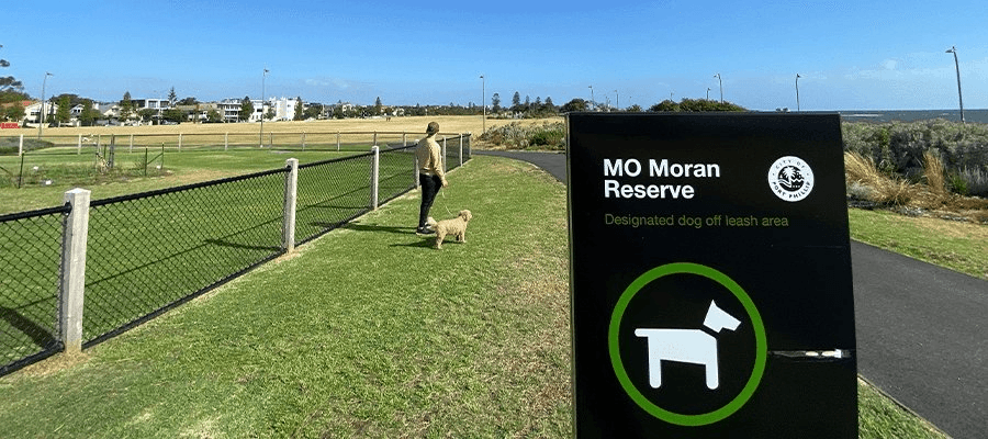 Blog Article Featured Image