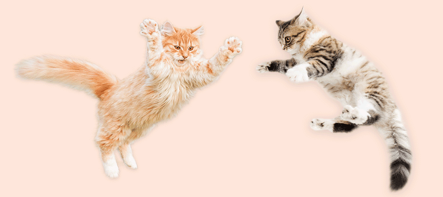 Blog Article Featured Image