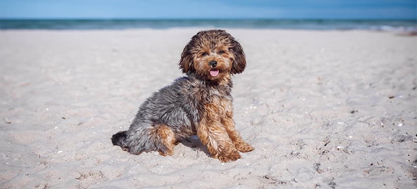 Blog Article Featured Image