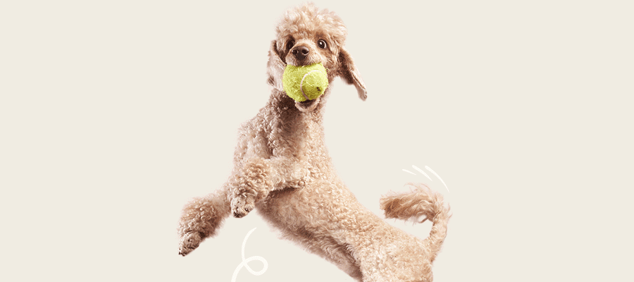 Blog Article Featured Image