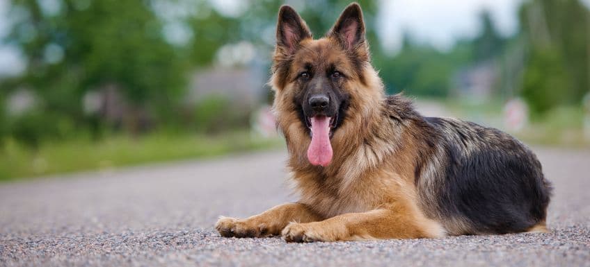 Blog Article Featured Image