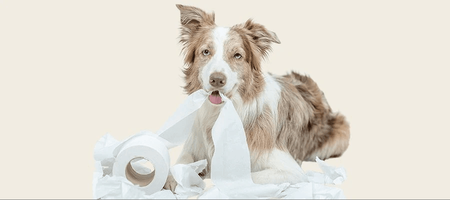 Blog Article Featured Image