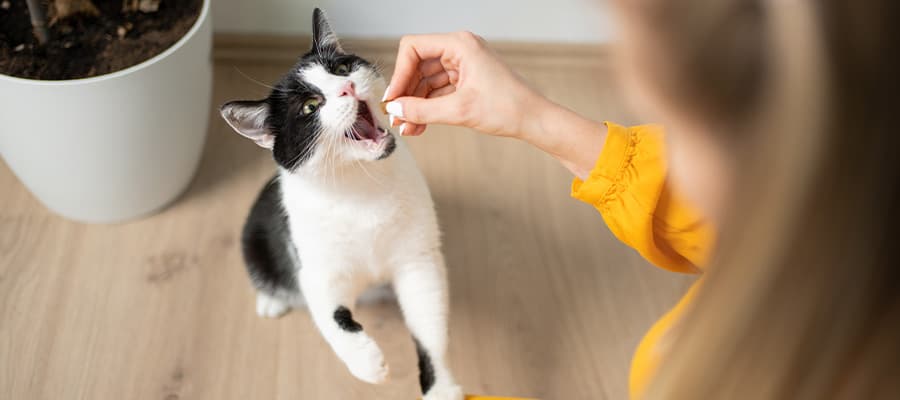 Blog Article Featured Image