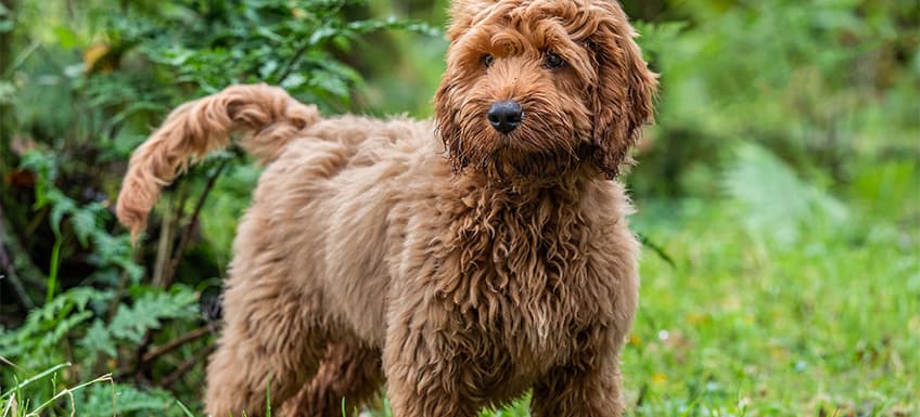 Blog Article Featured Image